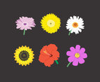 Colorful Flowers Vector