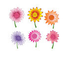 Isolated Colorful Gerbera Vector