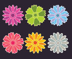 Colored Gerbera Flowers Vector