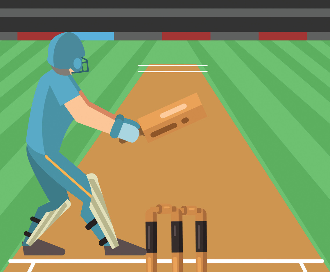 Cricket Illustration Vector
