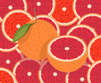 Grapefruit Vector