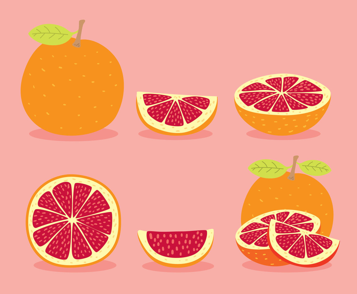 Grapefruit Collection Vector