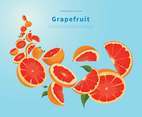 Flying Grapefruit Illustration