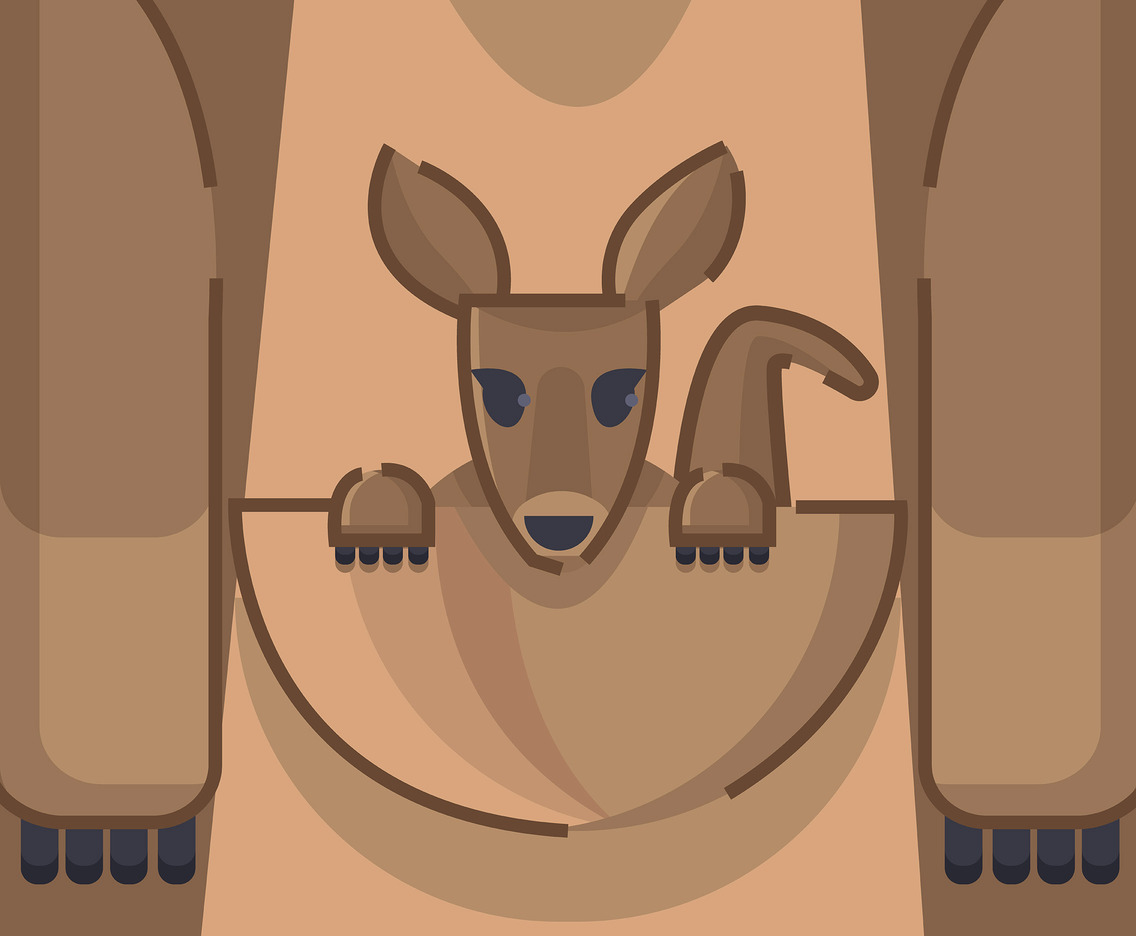 Baby Kangaroo Vector Vector Art & Graphics 