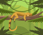 Striped-Tailed Iguana Vector