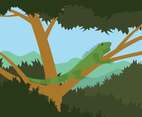 Iguana On Tree Illustration