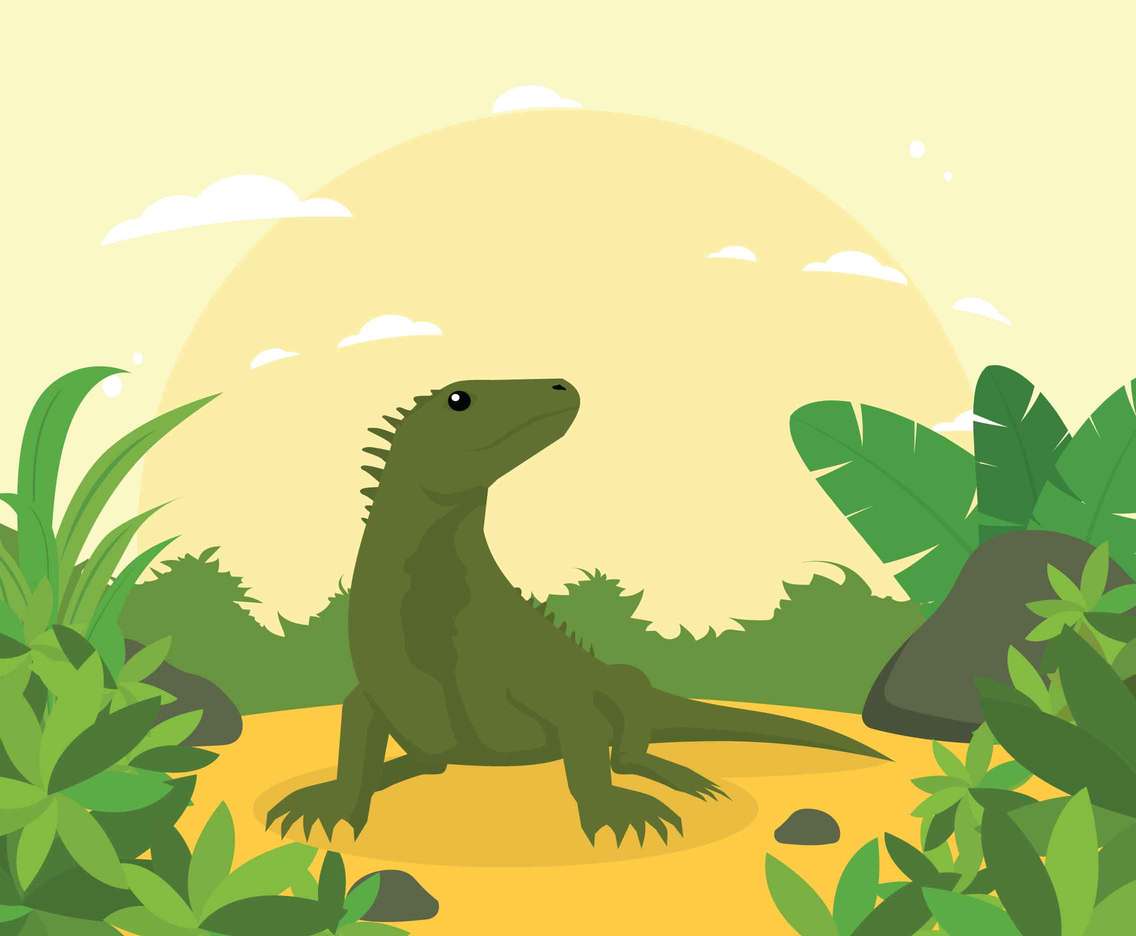 Iguana On Tropical Forest Illustration