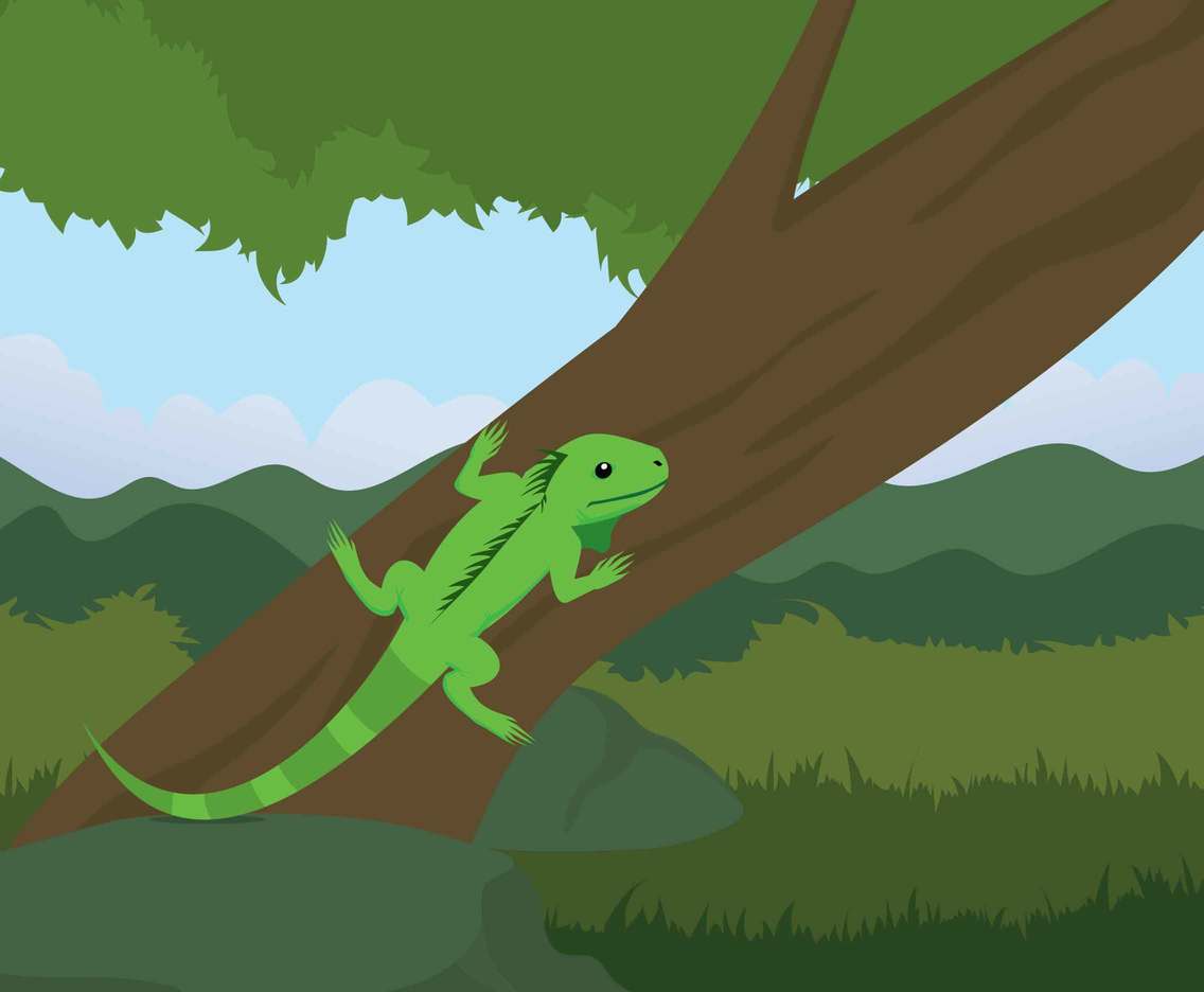 Green Iguana On Tree's Branch Illustration