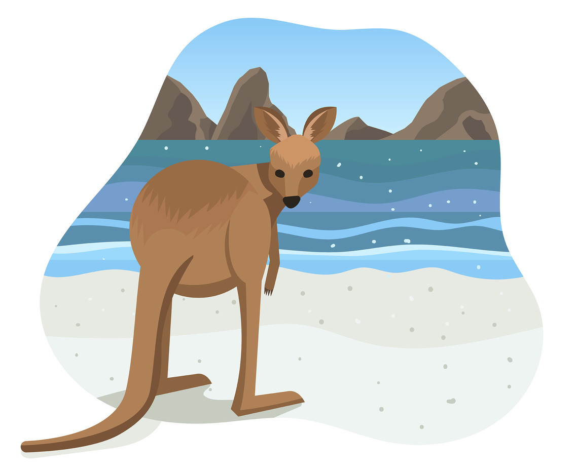 Kangaroo on Beach Vector