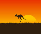 Outstanding Kangaroo Vectors