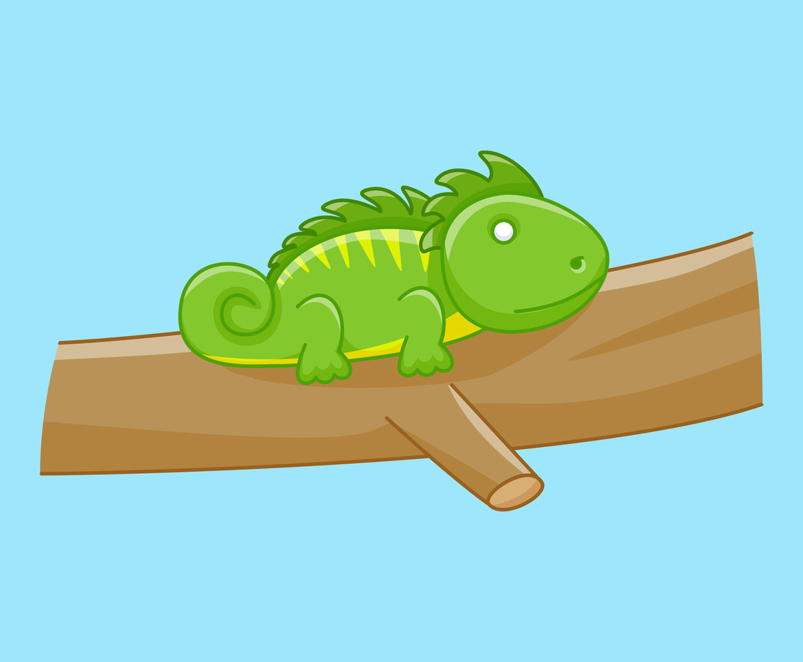 Outstanding Iguana Vectors