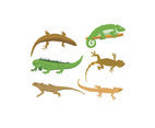 Lizard Illustration Vector