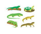 Various Reptiles Vector 