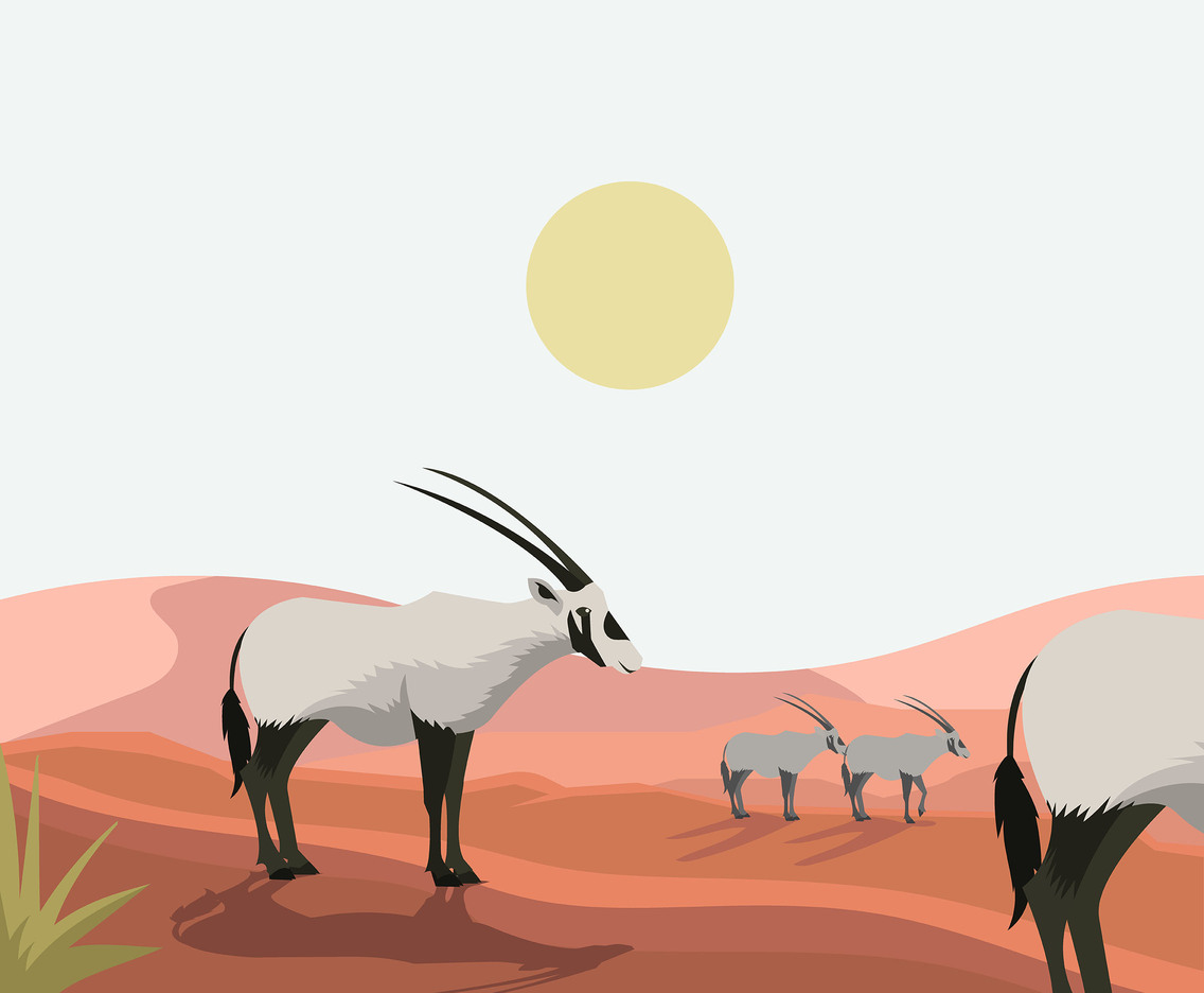 White Oryx Vector