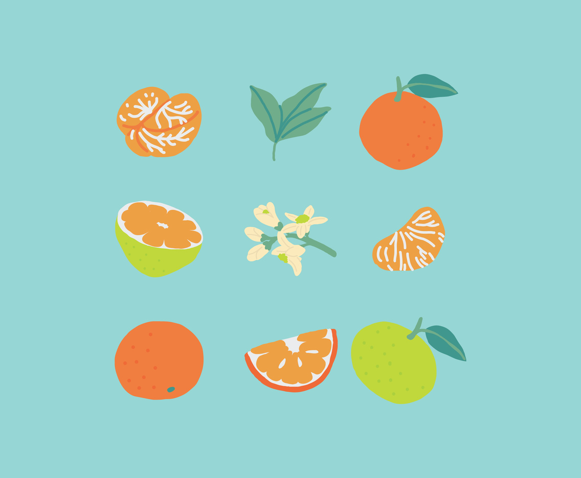 Colorful Tangerine Drawings