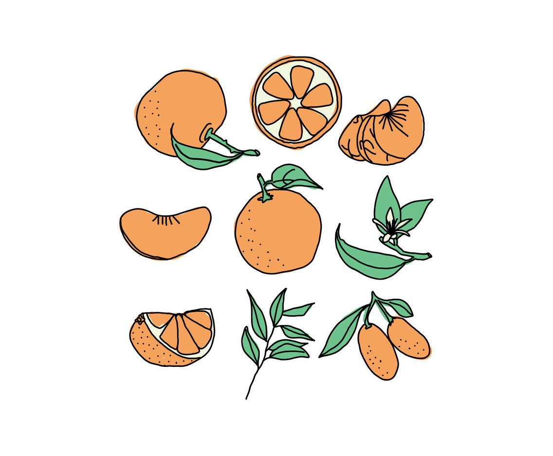 Tangerine Doodles