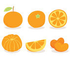 Tangerine On White Vector