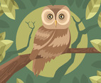 Brown Owls Vector