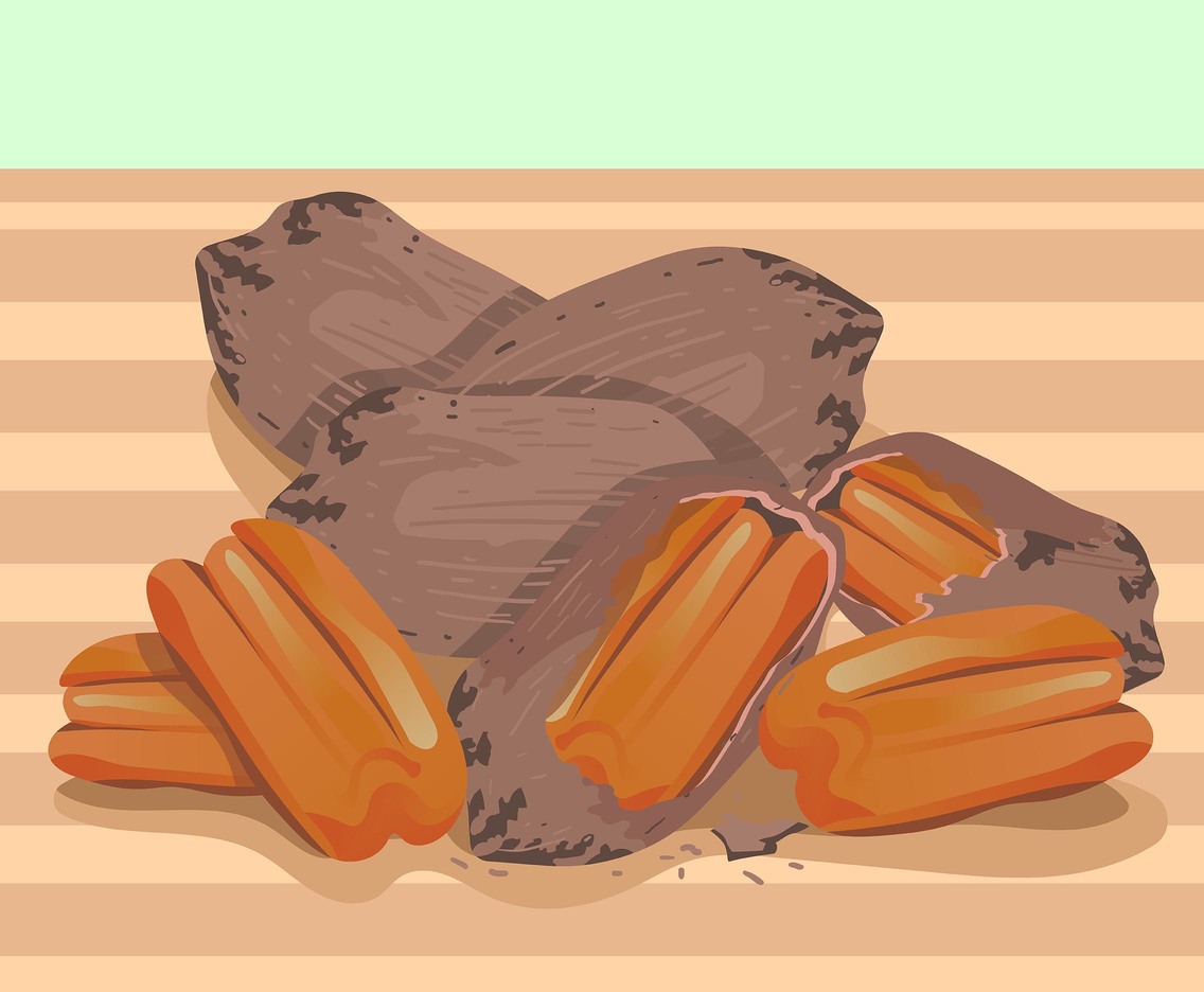 Pecan Vector