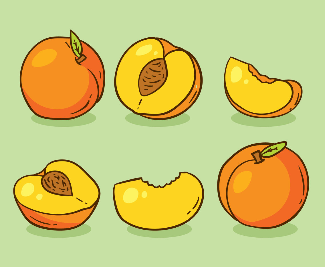 Hand Drawn Peach Fruit Vector