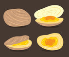 Clam Collection Vector