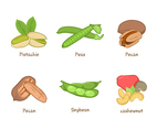 Various Nuts Vector