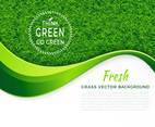 Fresh Green Grass Vector Background