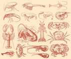 Shrimp Crab And Lobster Illustrations