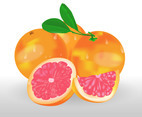 Realistic Grapefruit