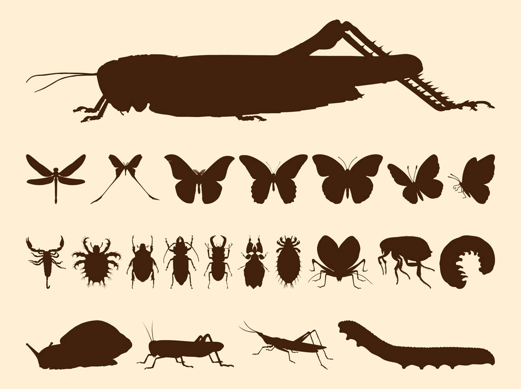 Insects Silhouette Set