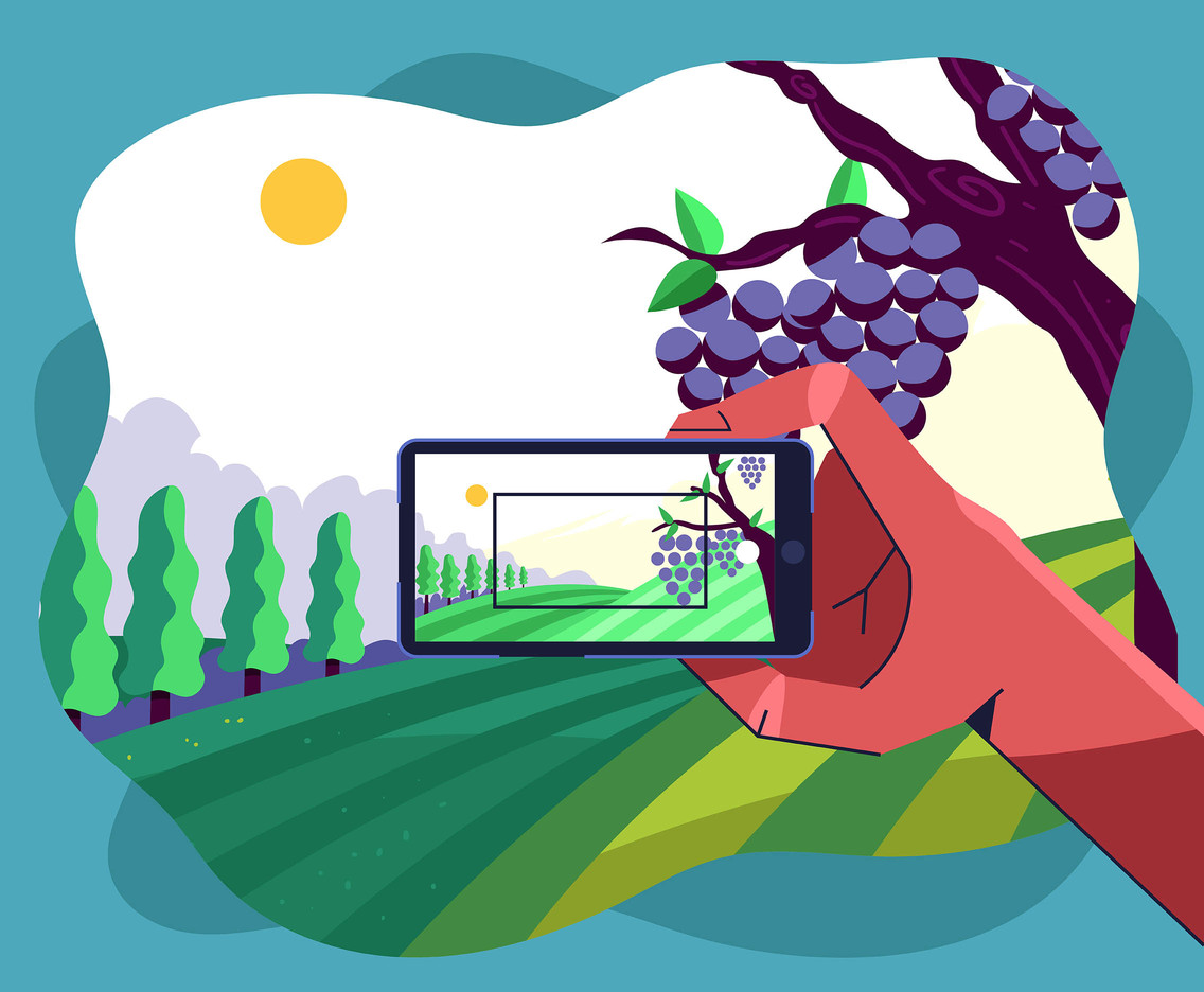 Vineyard Scenery First Person