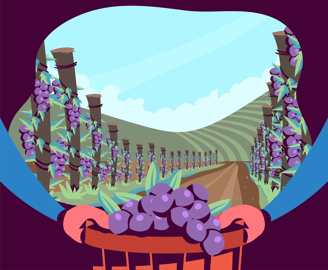 Vineyard Scenery First Person
