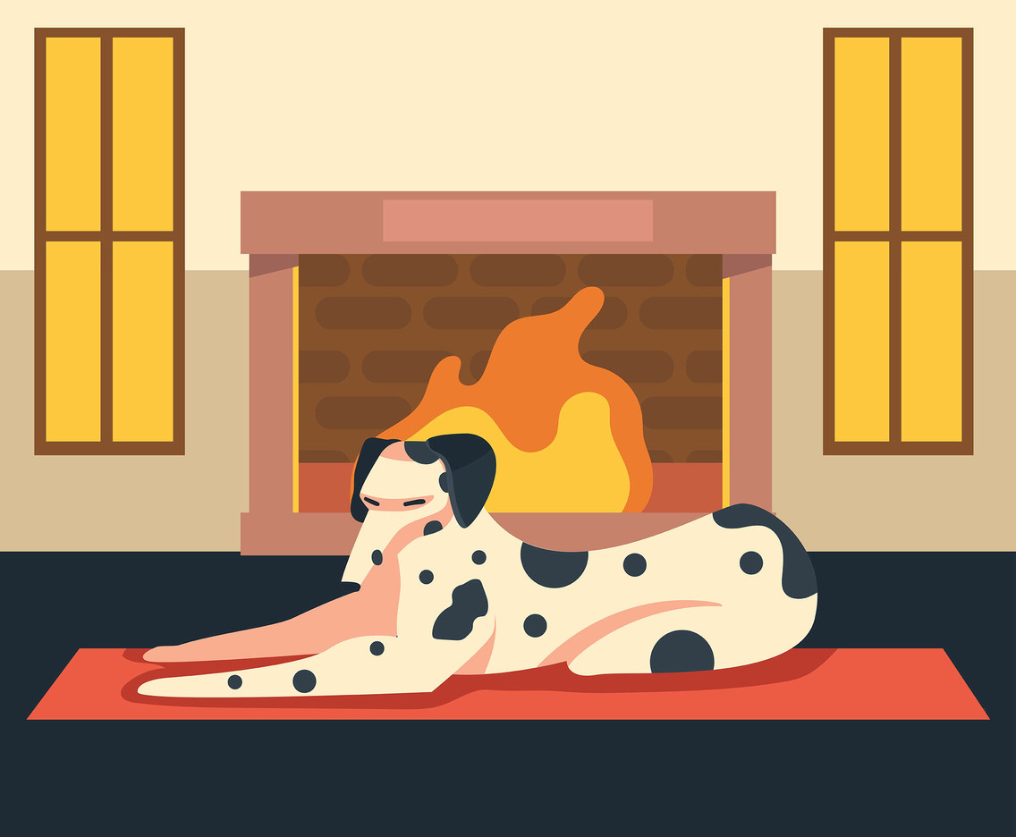 Fireside Pet