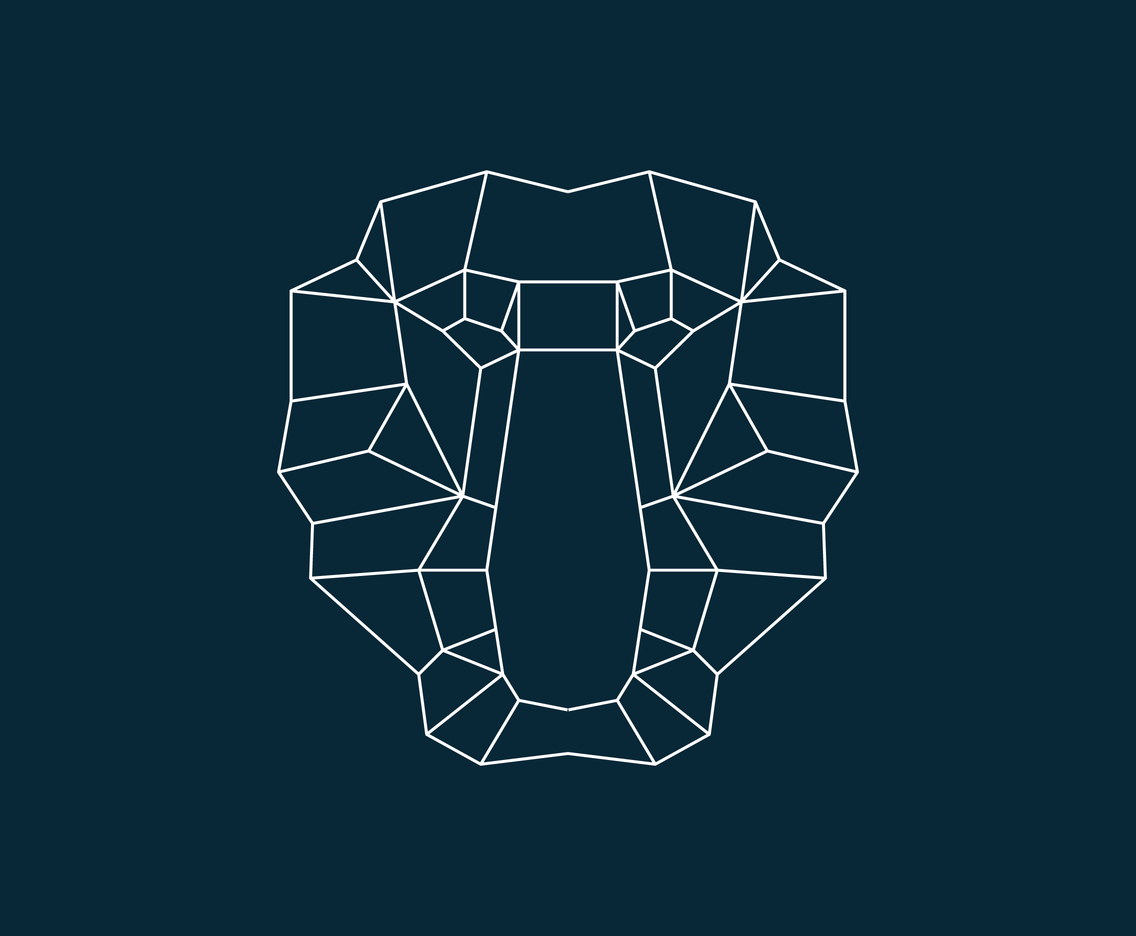 Bekantan Monkey Lowpoly Line