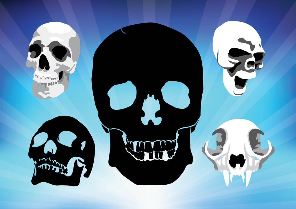 Spooky Skulls Vectors