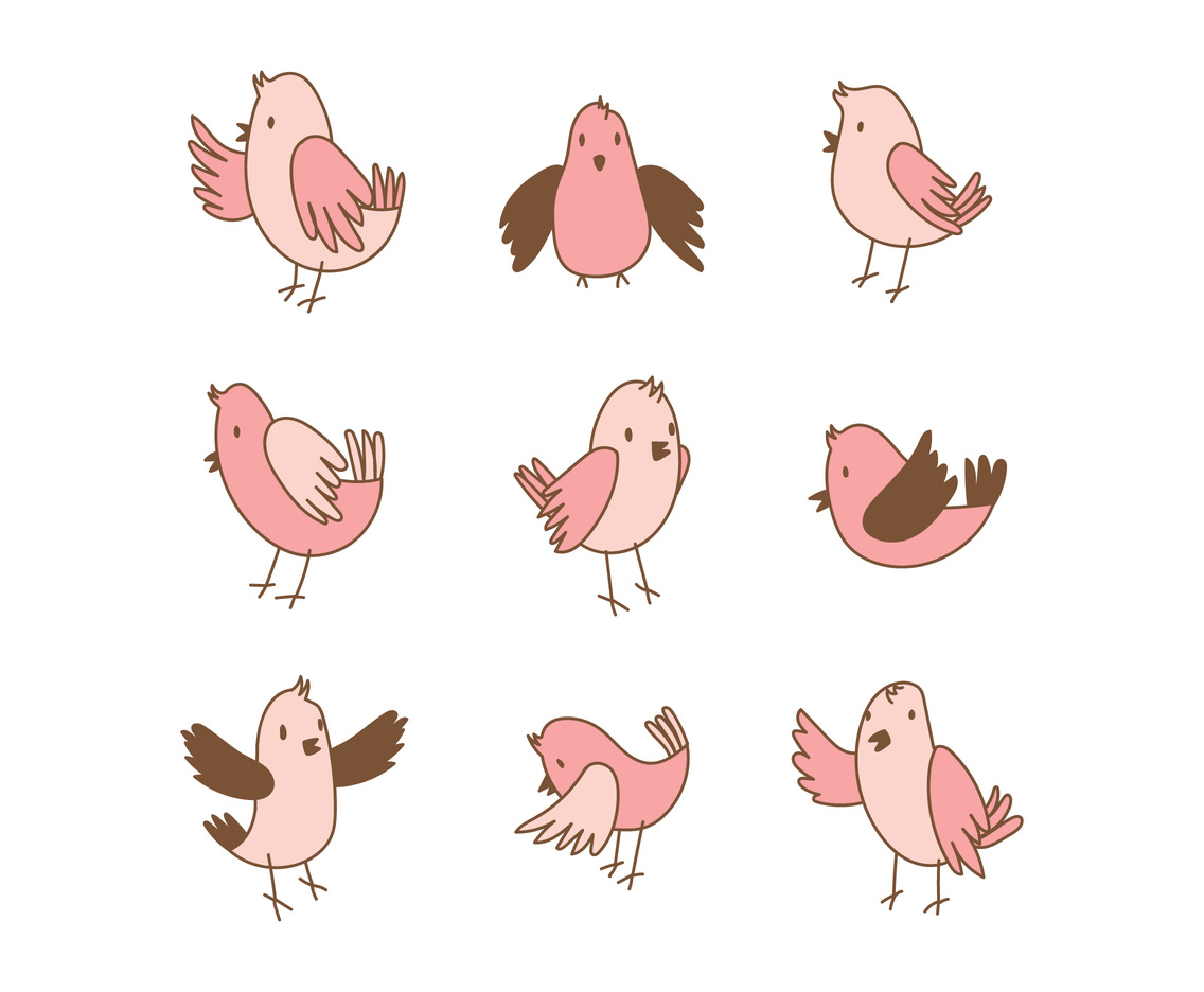 Sweet Bird Doing Things