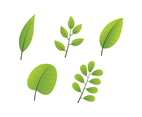 Green Leaves Clipart Set
