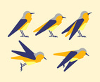 Unique Bird Clipart Set Vectors