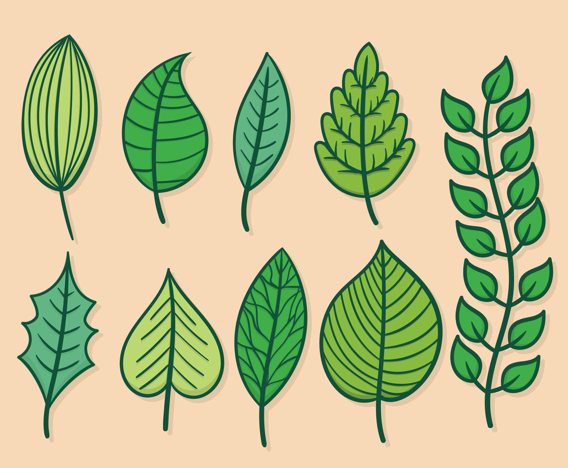 Green leaves clipart set