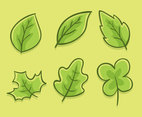 Green Leaves Collection Vector