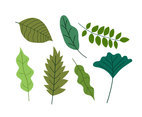 Flat Green Leaves Clipart Vector