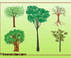 Vector Trees Illustrations