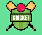 Cool Cricket Logo