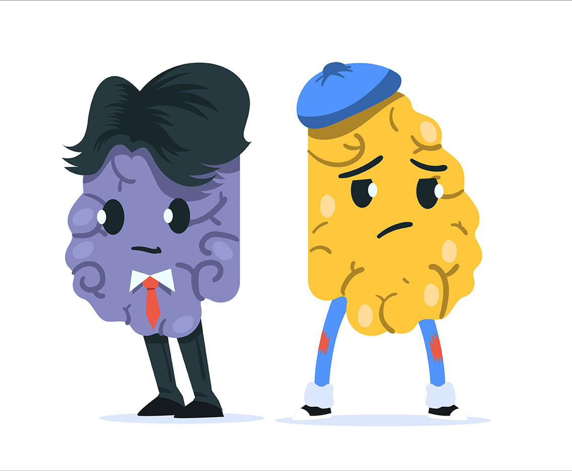 Human Brain Hemisphere Character