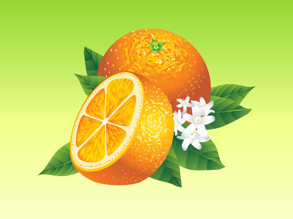 Realistic Oranges
