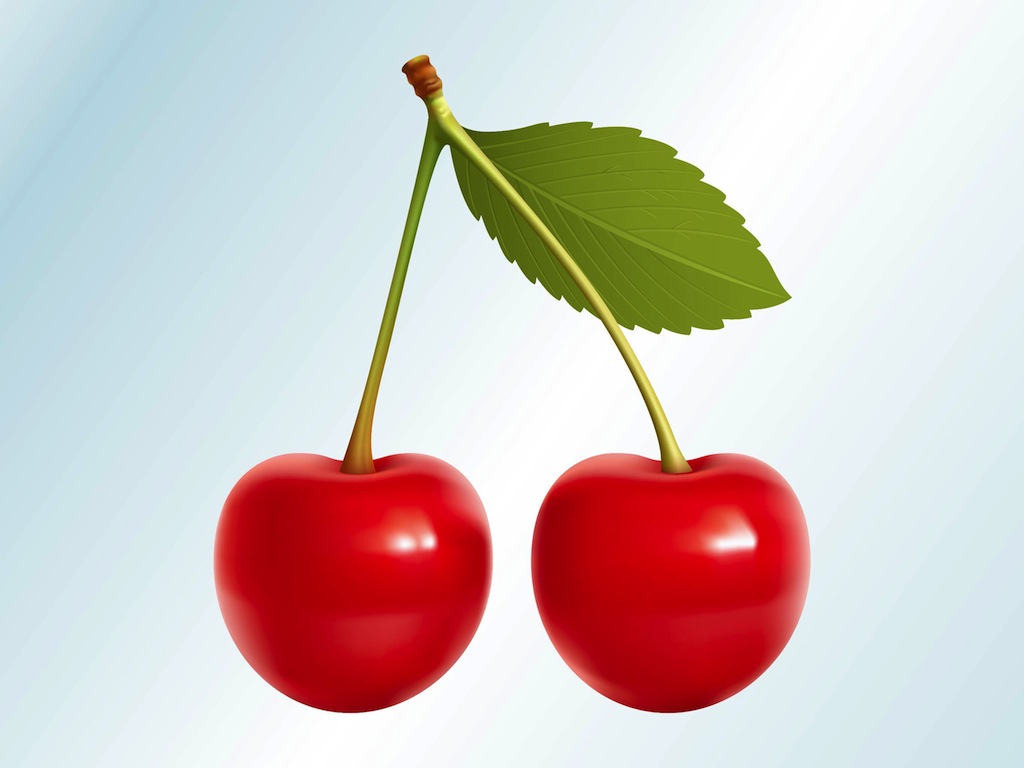 Realistic Cherries Vector Art & Graphics