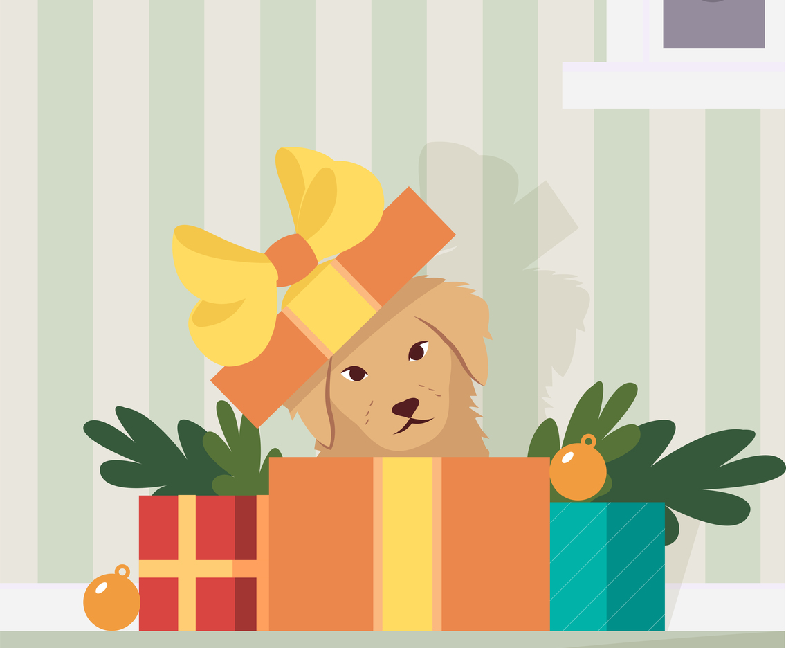 Puppy Pops Up From a Christmas Gift Box