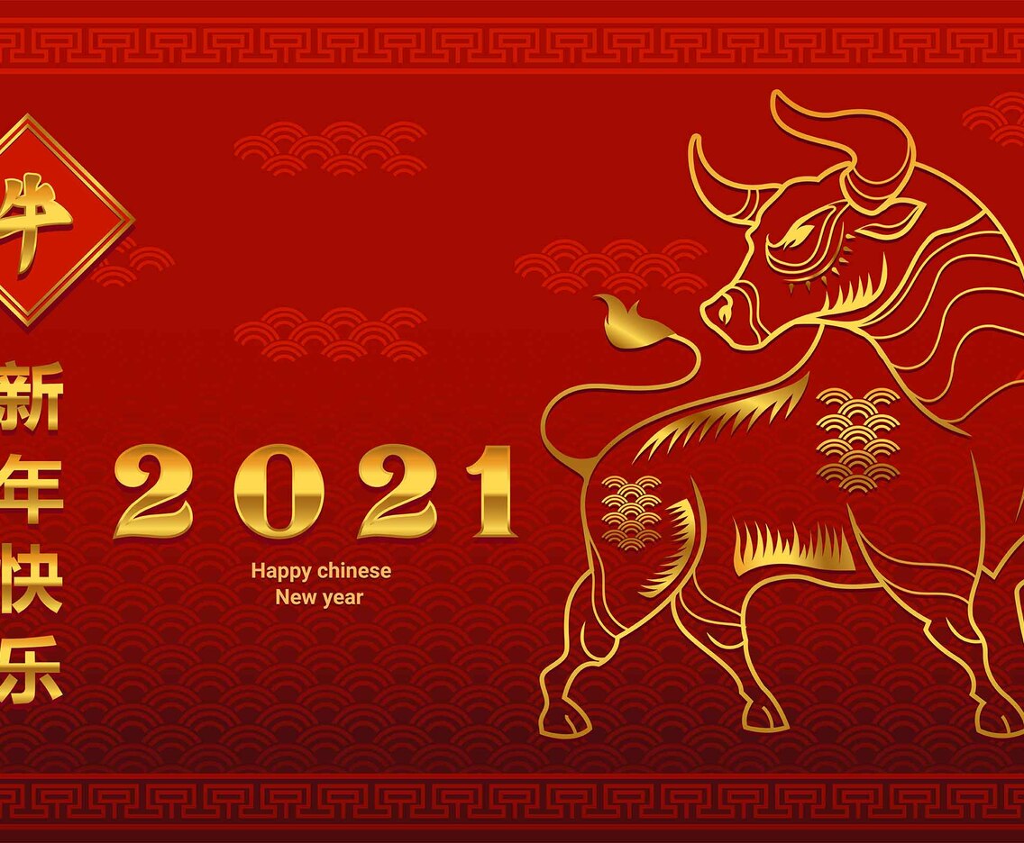 Celebrating Chinese Ox New Year