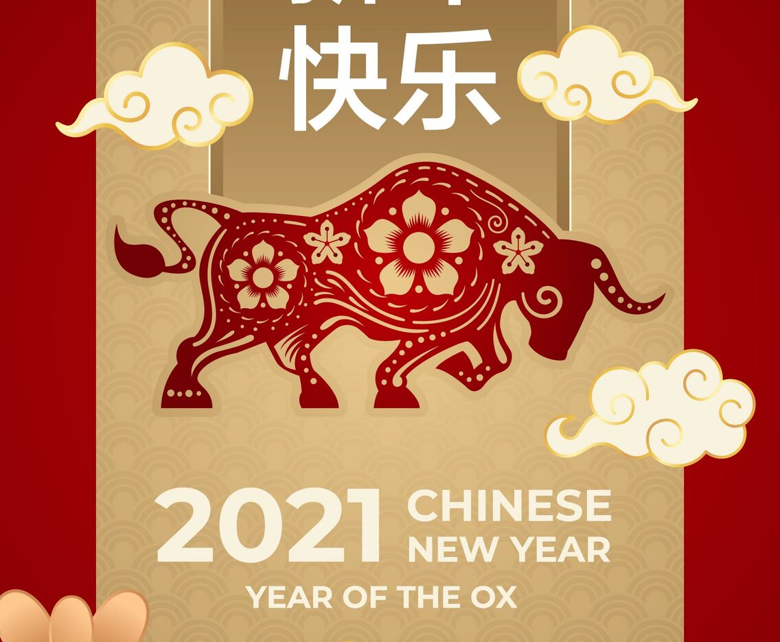 Golden Ox Illustration