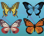 Colorful Butterfly Vectors